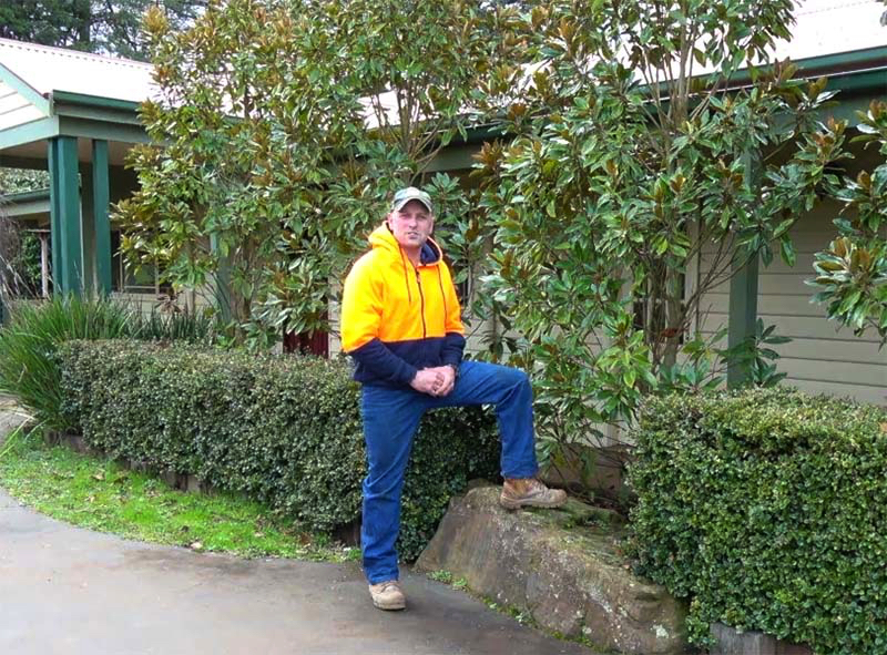 Magnolia Pruning